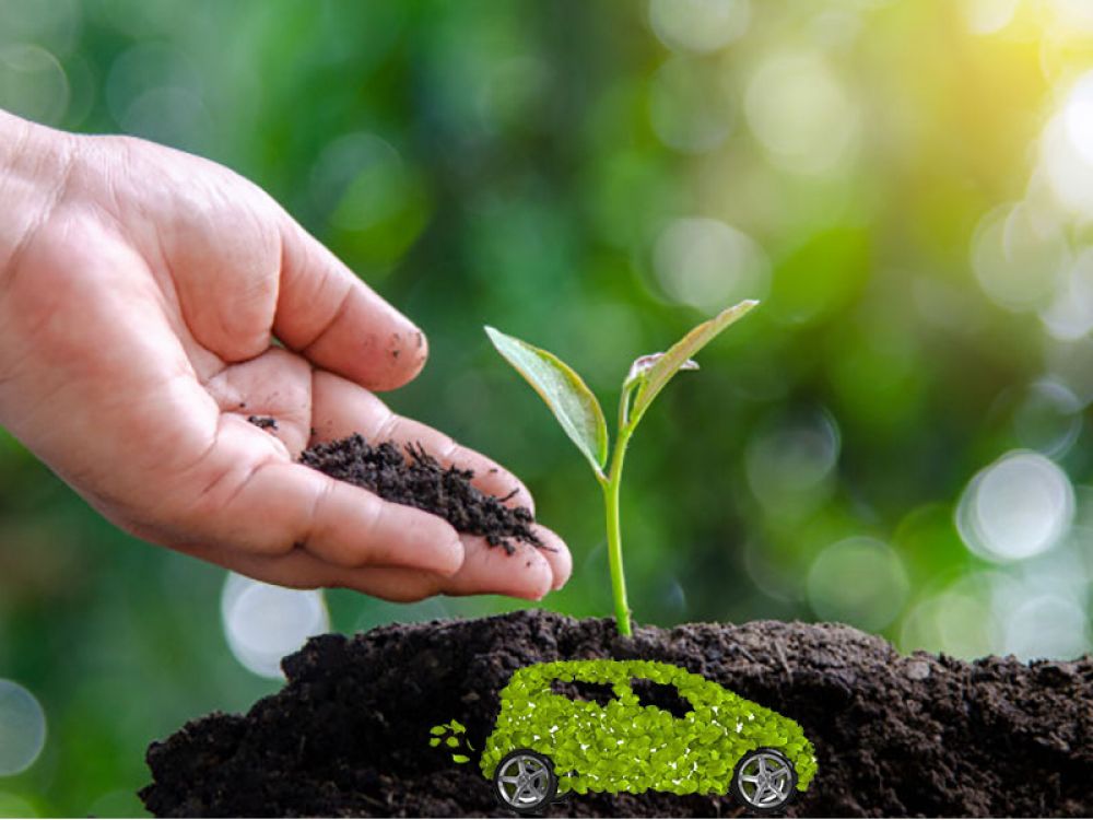 Arval pianterà un nuovo albero per ogni veicolo elettrificato noleggiato